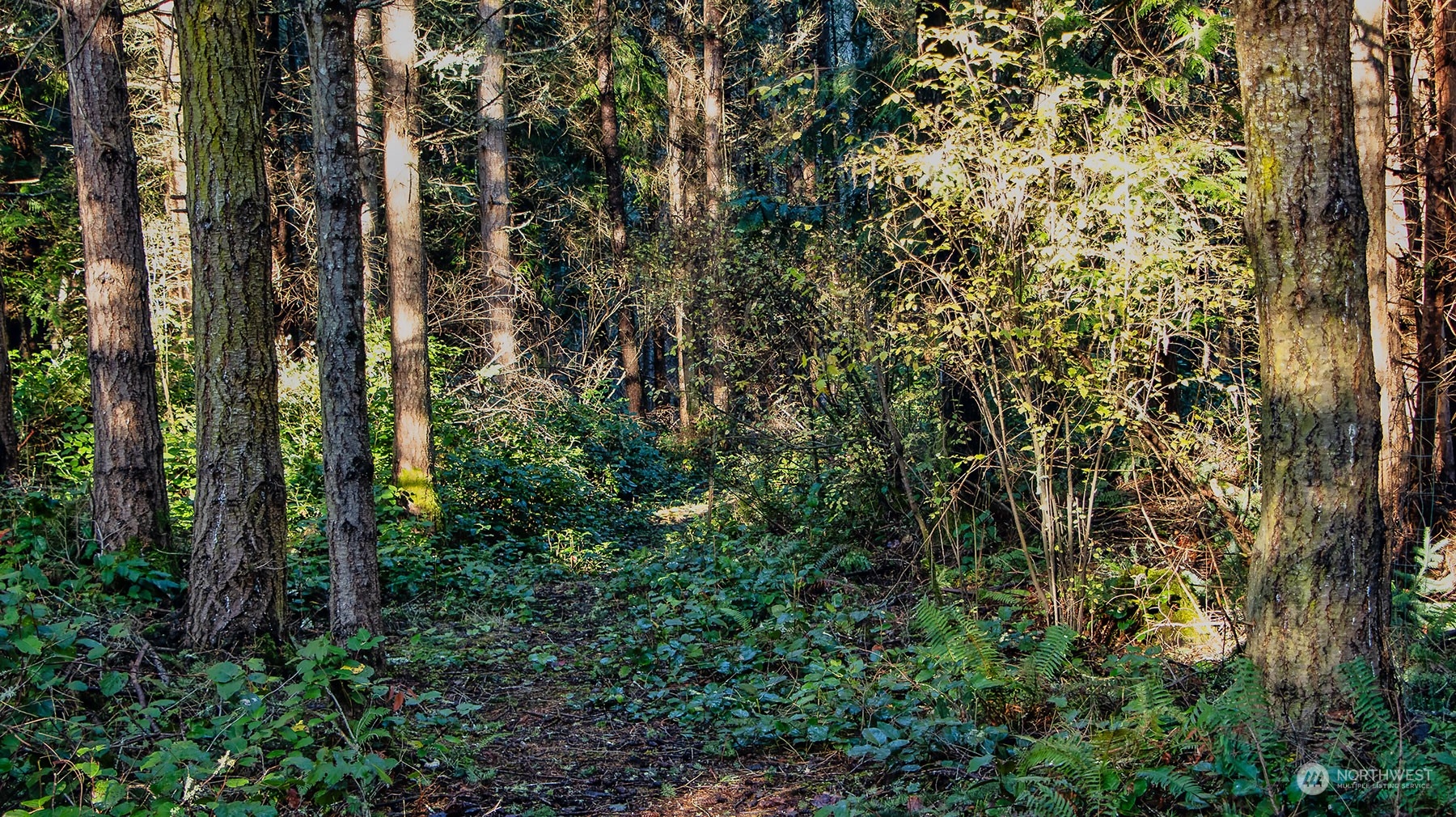 9385 Flagler Road Nordland, WA 98358 - Photo 18 of 37 Gallery Image 18