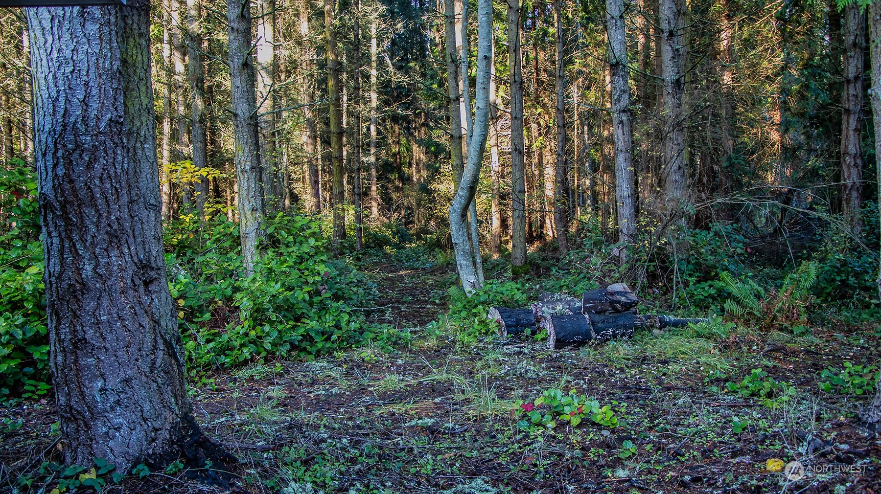 9385 Flagler Road Nordland, WA 98358 - Photo 35 of 37 Gallery Image 35