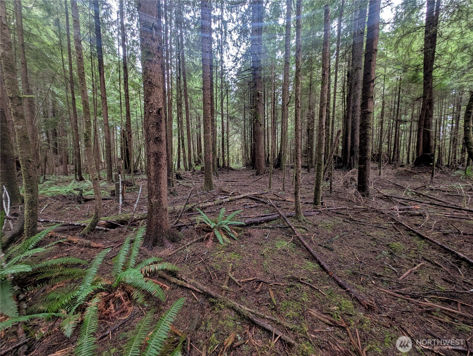 9991 Quillayute Road Forks, WA 98331 - Photo 12 of 40