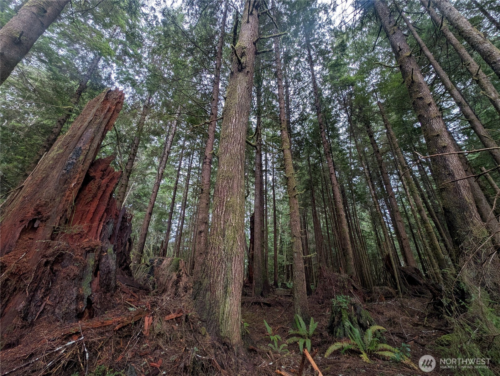 9991 Quillayute Road Forks, WA 98331 - Photo 14 of 40