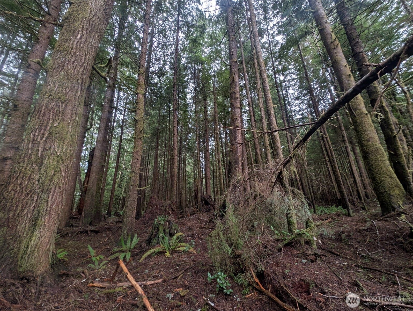 9991 Quillayute Road Forks, WA 98331 - Photo 15 of 40