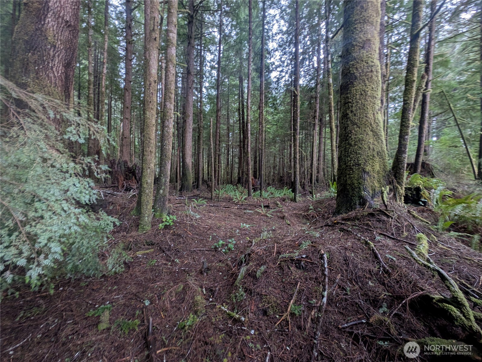 9991 Quillayute Road Forks, WA 98331 - Photo 16 of 40