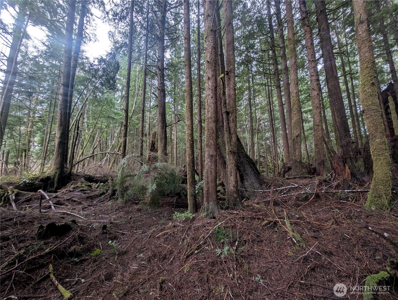 9991 Quillayute Road Forks, WA 98331 - Photo 17 of 40