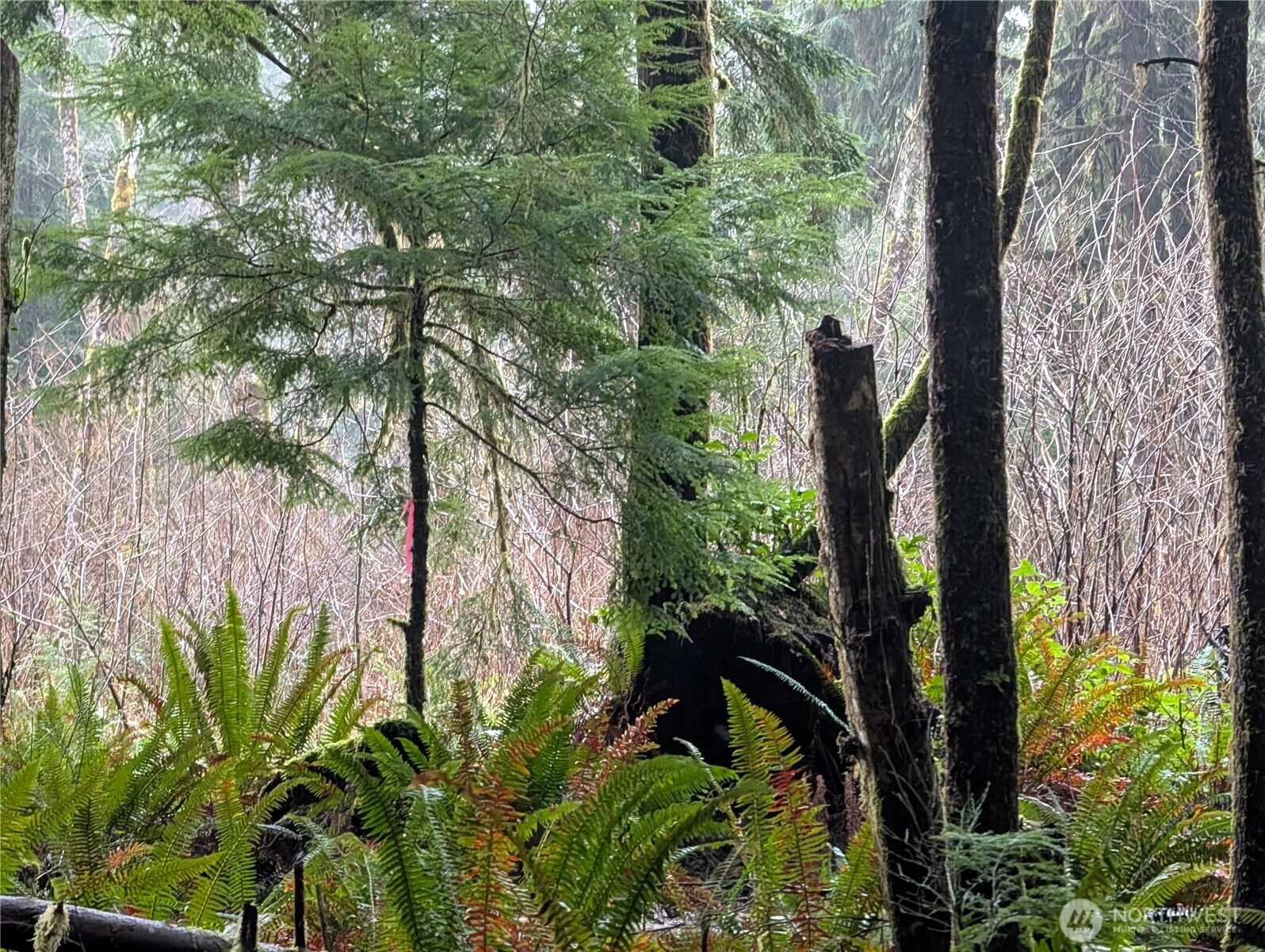 9991 Quillayute Road Forks, WA 98331 - Photo 18 of 40