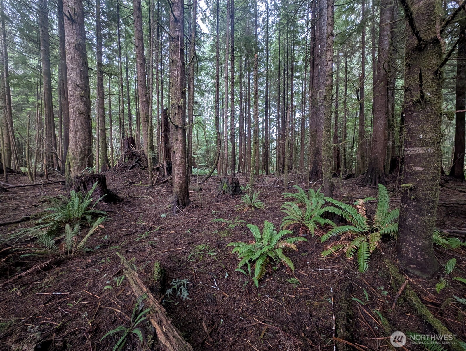 9991 Quillayute Road Forks, WA 98331 - Photo 19 of 40