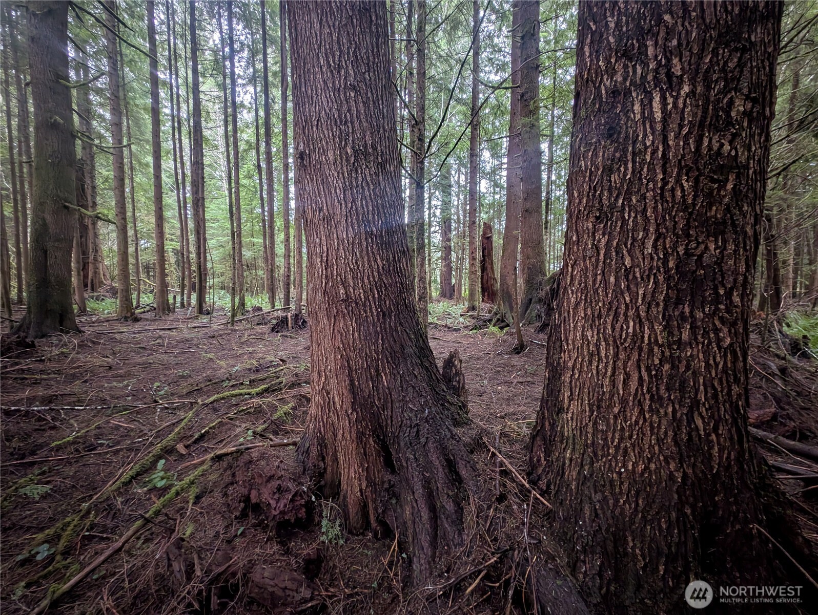 9991 Quillayute Road Forks, WA 98331 - Photo 20 of 40