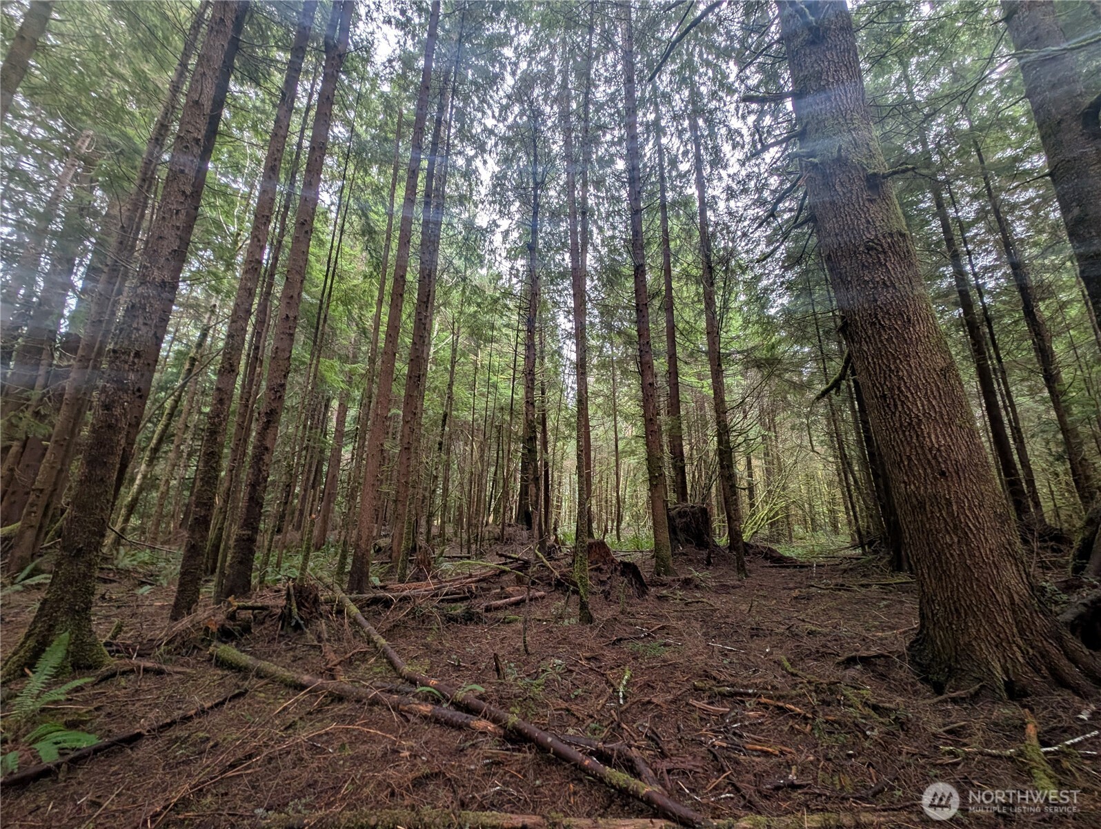 9991 Quillayute Road Forks, WA 98331 - Photo 2 of 40