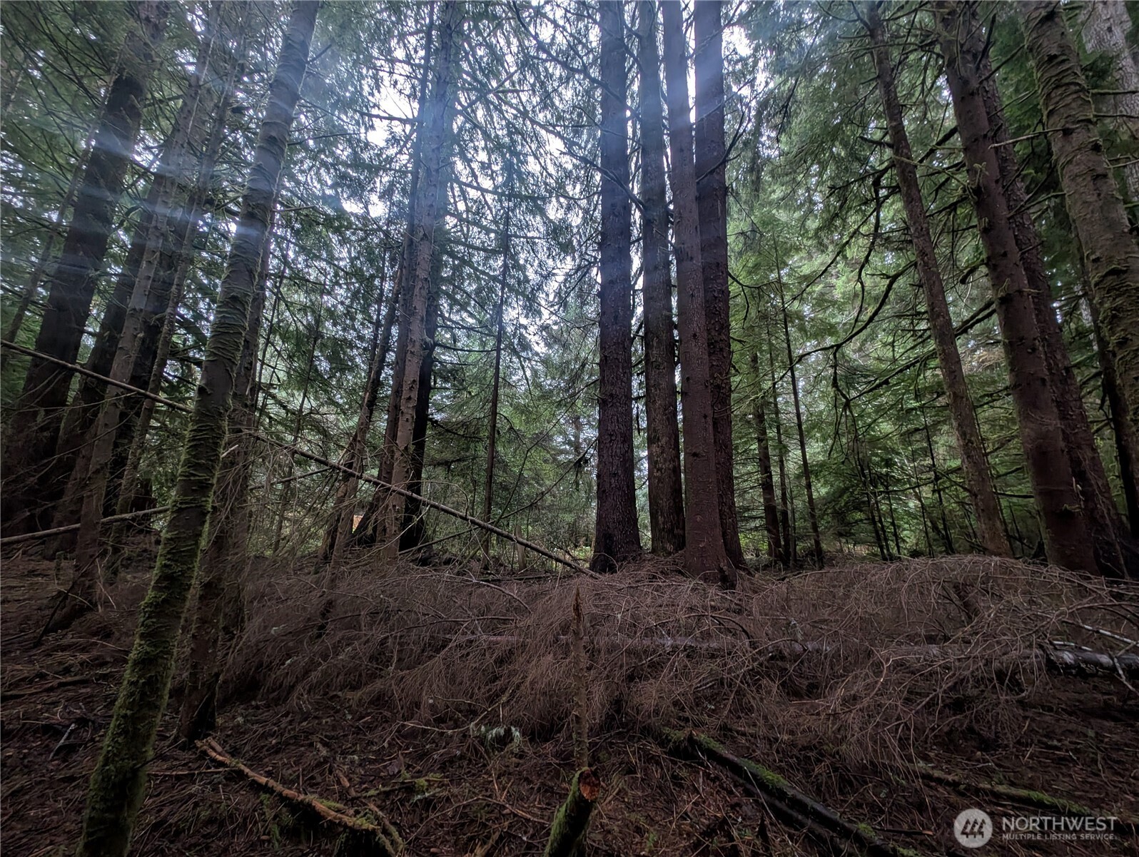 9991 Quillayute Road Forks, WA 98331 - Photo 21 of 40