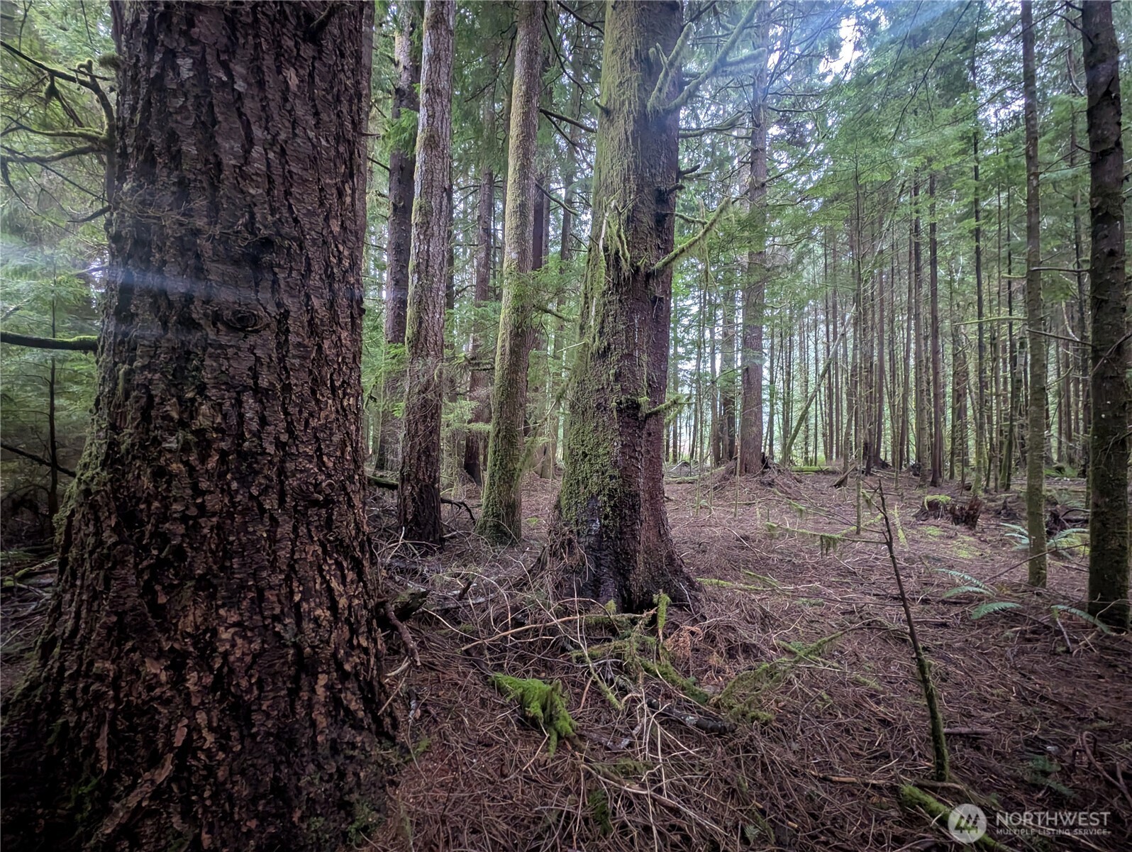 9991 Quillayute Road Forks, WA 98331 - Photo 22 of 40