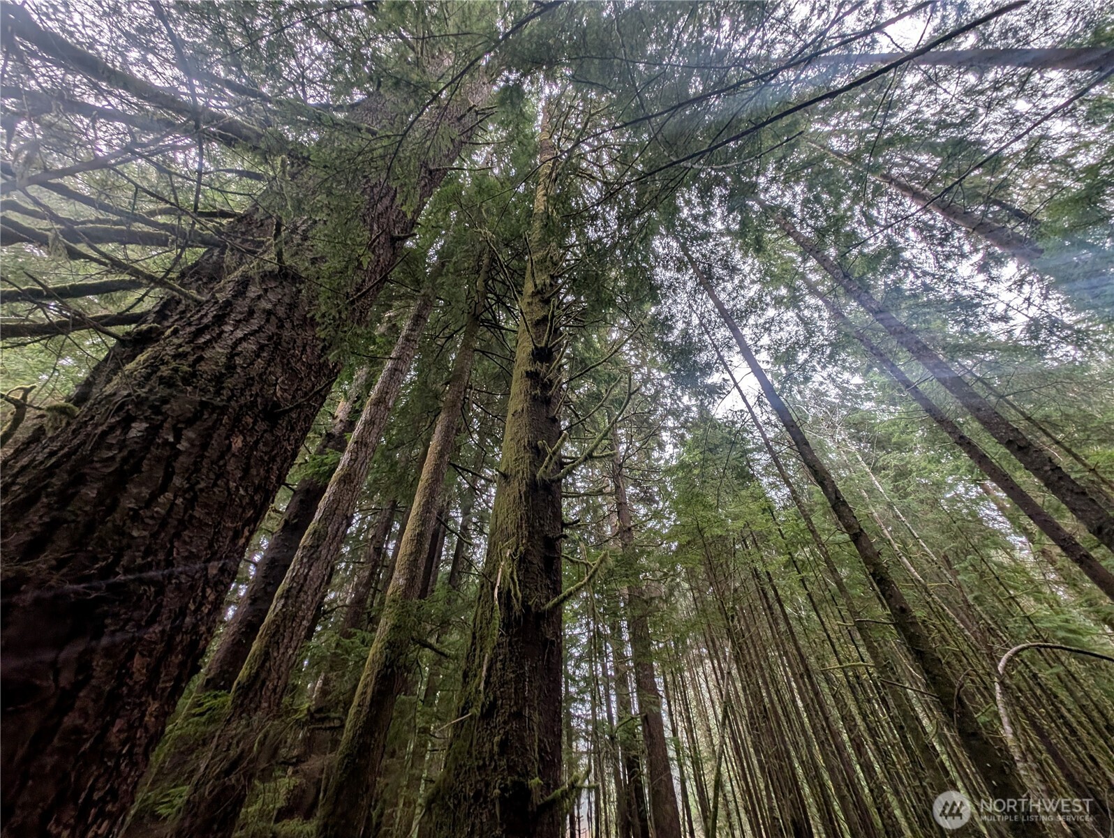 9991 Quillayute Road Forks, WA 98331 - Photo 23 of 40