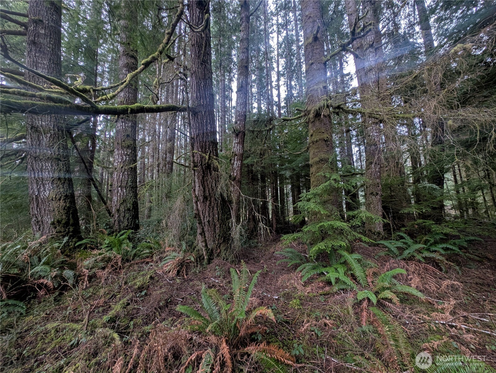 9991 Quillayute Road Forks, WA 98331 - Photo 24 of 40