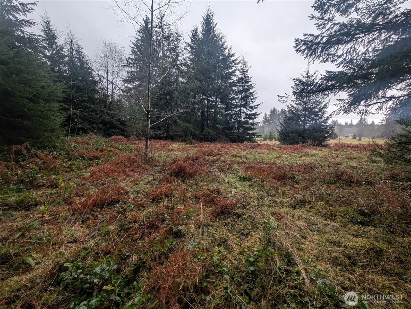 9991 Quillayute Road Forks, WA 98331 - Photo 25 of 40