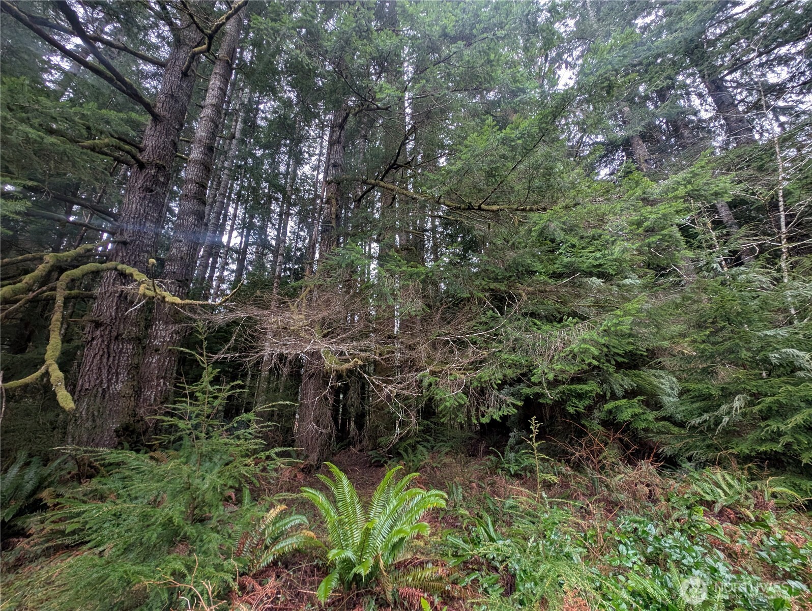 9991 Quillayute Road Forks, WA 98331 - Photo 26 of 40