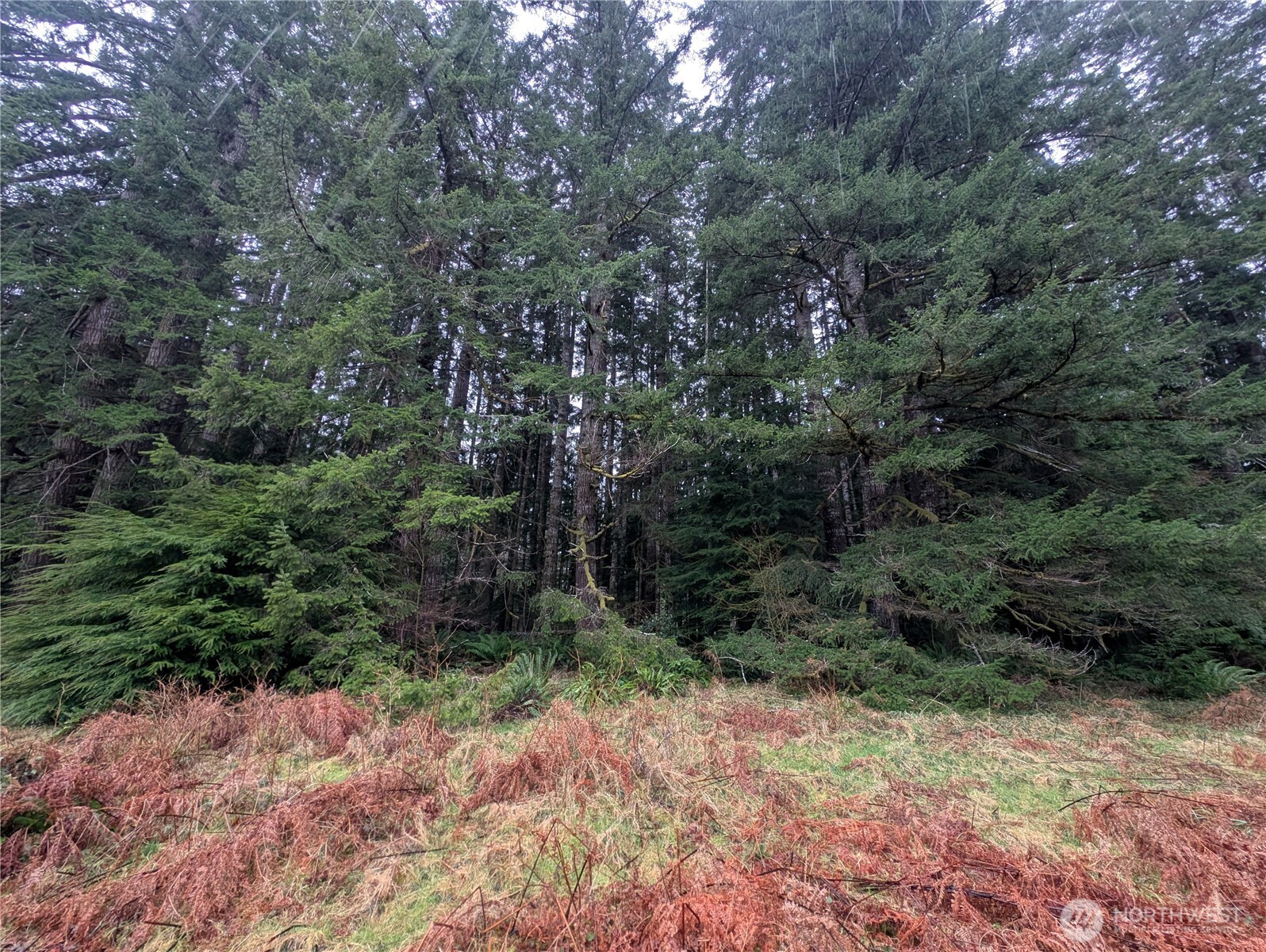 9991 Quillayute Road Forks, WA 98331 - Photo 27 of 40