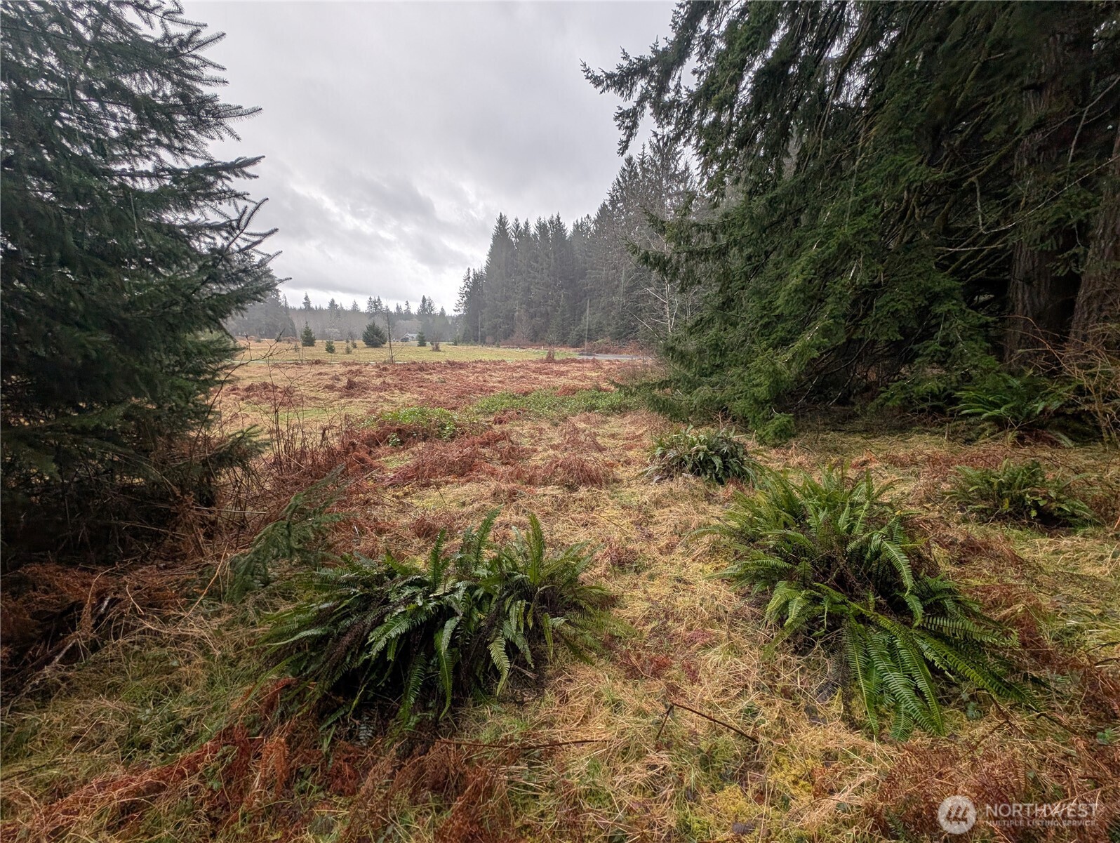 9991 Quillayute Road Forks, WA 98331 - Photo 28 of 40