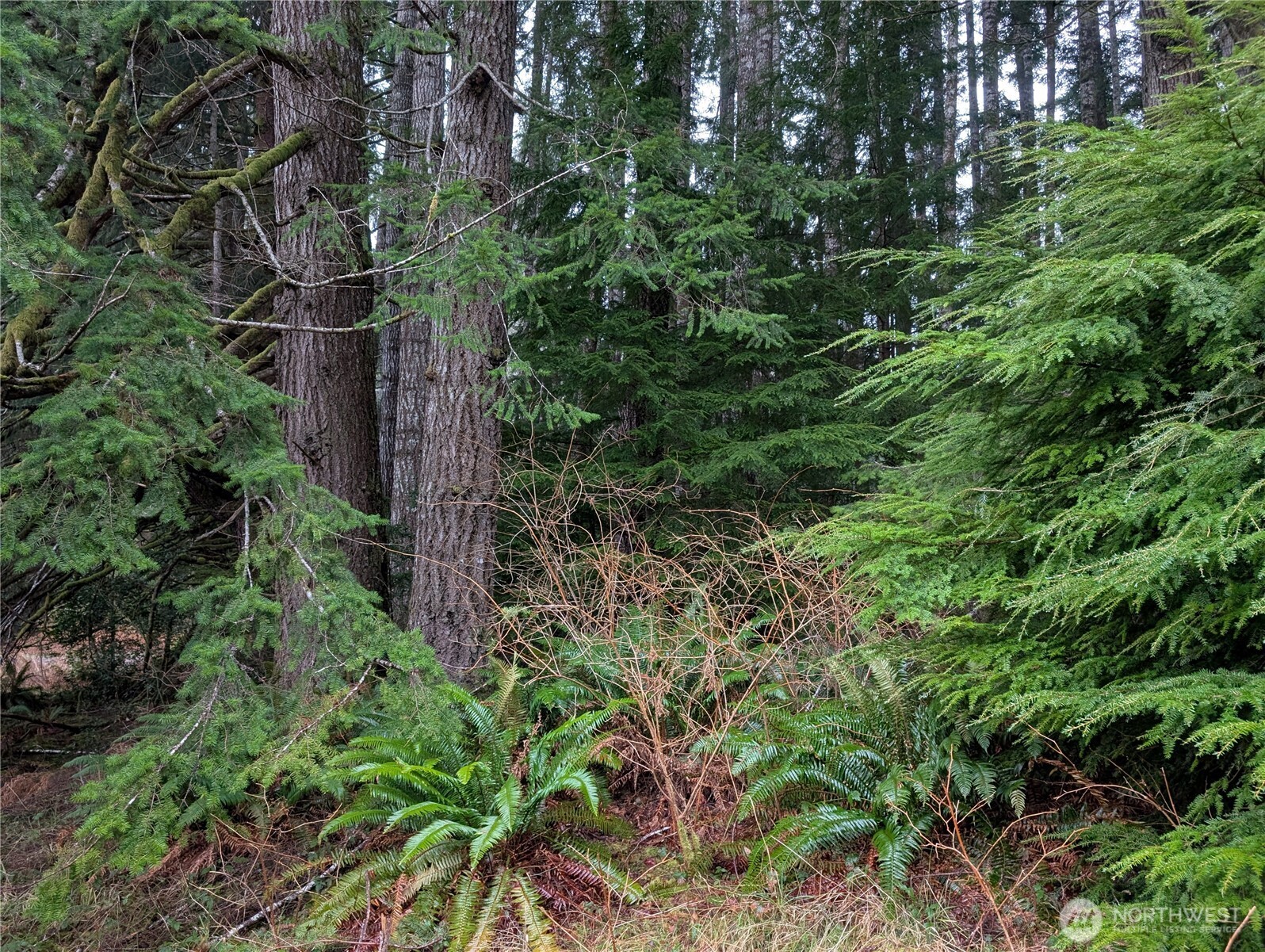 9991 Quillayute Road Forks, WA 98331 - Photo 29 of 40