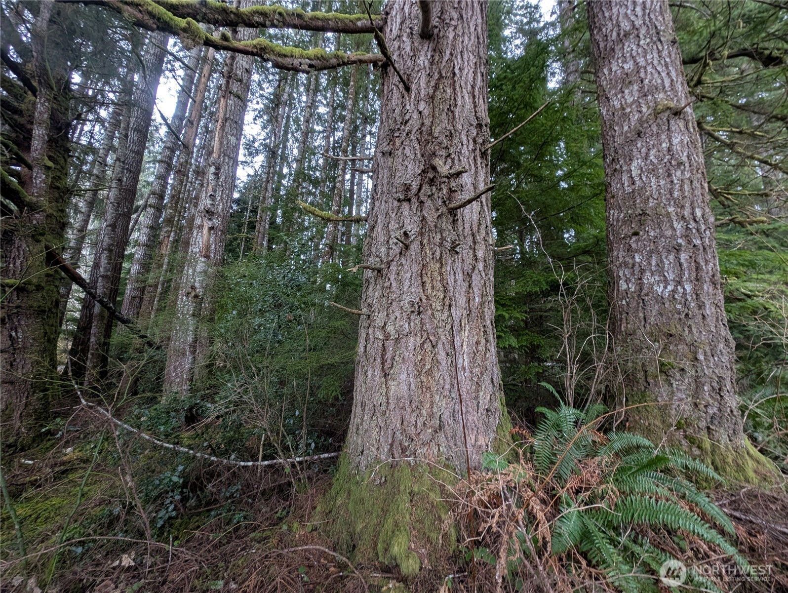 9991 Quillayute Road Forks, WA 98331 - Photo 30 of 40