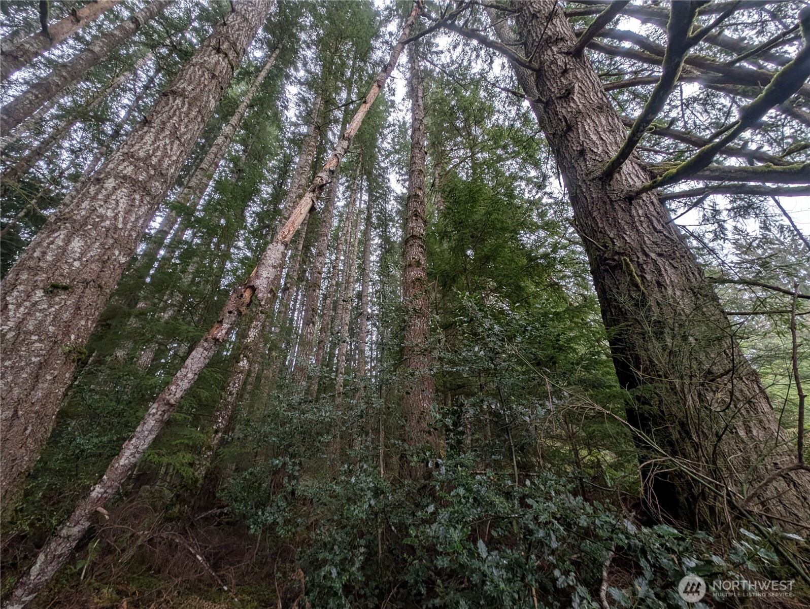 9991 Quillayute Road Forks, WA 98331 - Photo 31 of 40