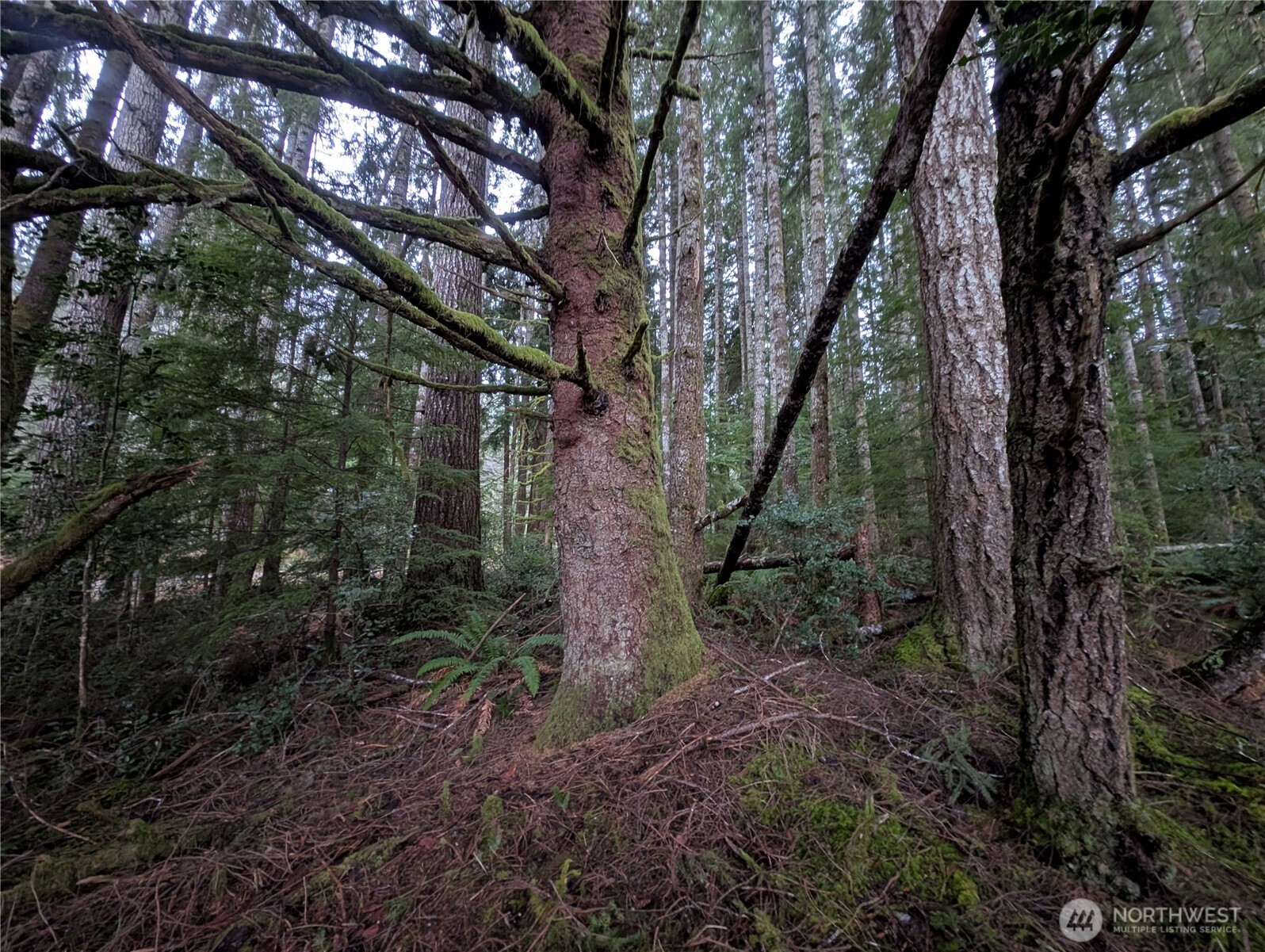 9991 Quillayute Road Forks, WA 98331 - Photo 32 of 40