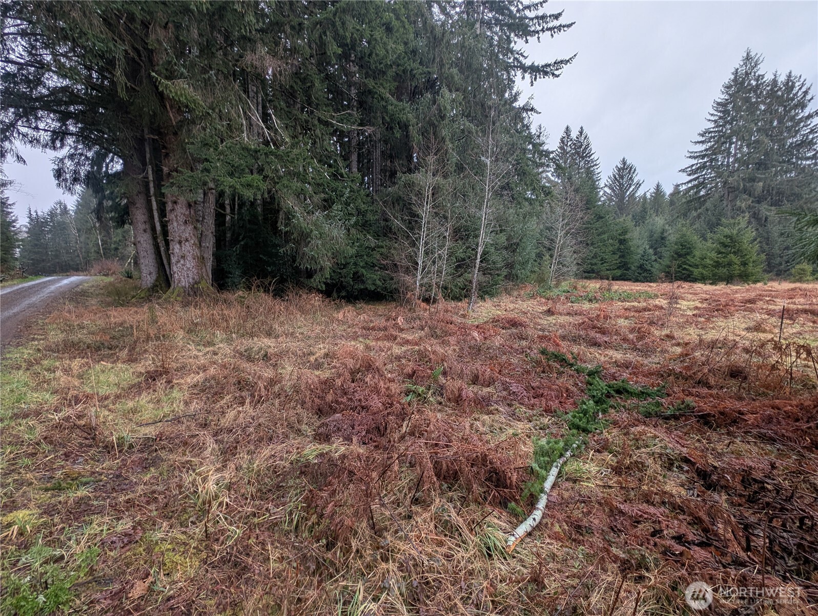 9991 Quillayute Road Forks, WA 98331 - Photo 33 of 40