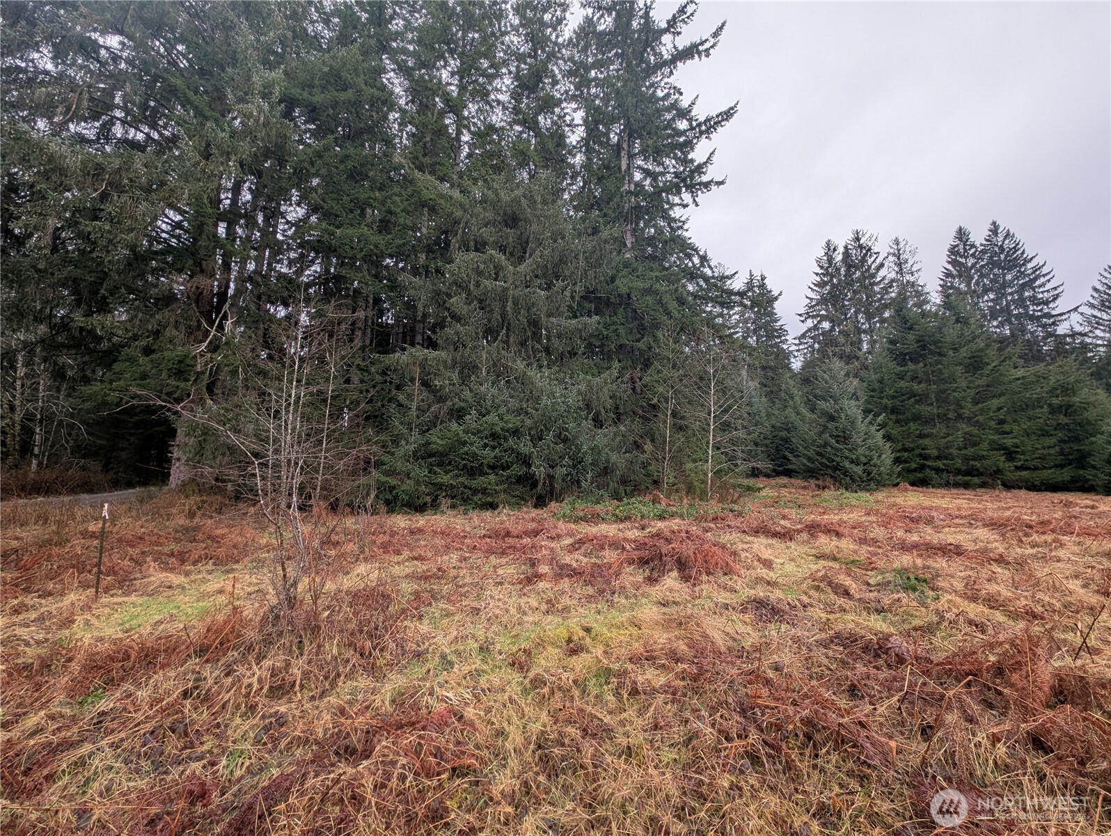 9991 Quillayute Road Forks, WA 98331 - Photo 34 of 40