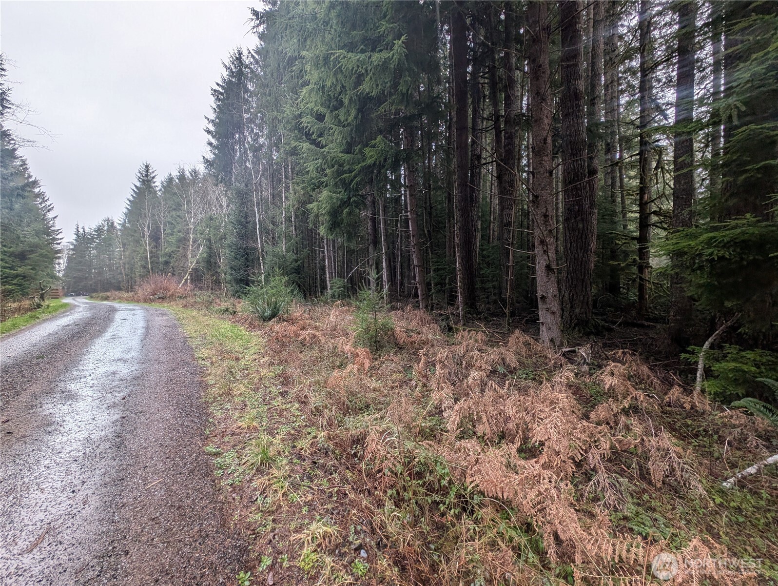 9991 Quillayute Road Forks, WA 98331 - Photo 35 of 40