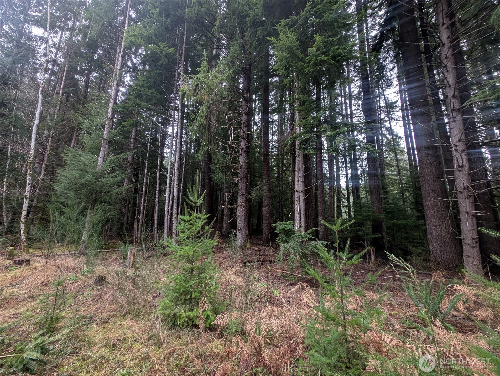 9991 Quillayute Road Forks, WA 98331 - Photo 36 of 40