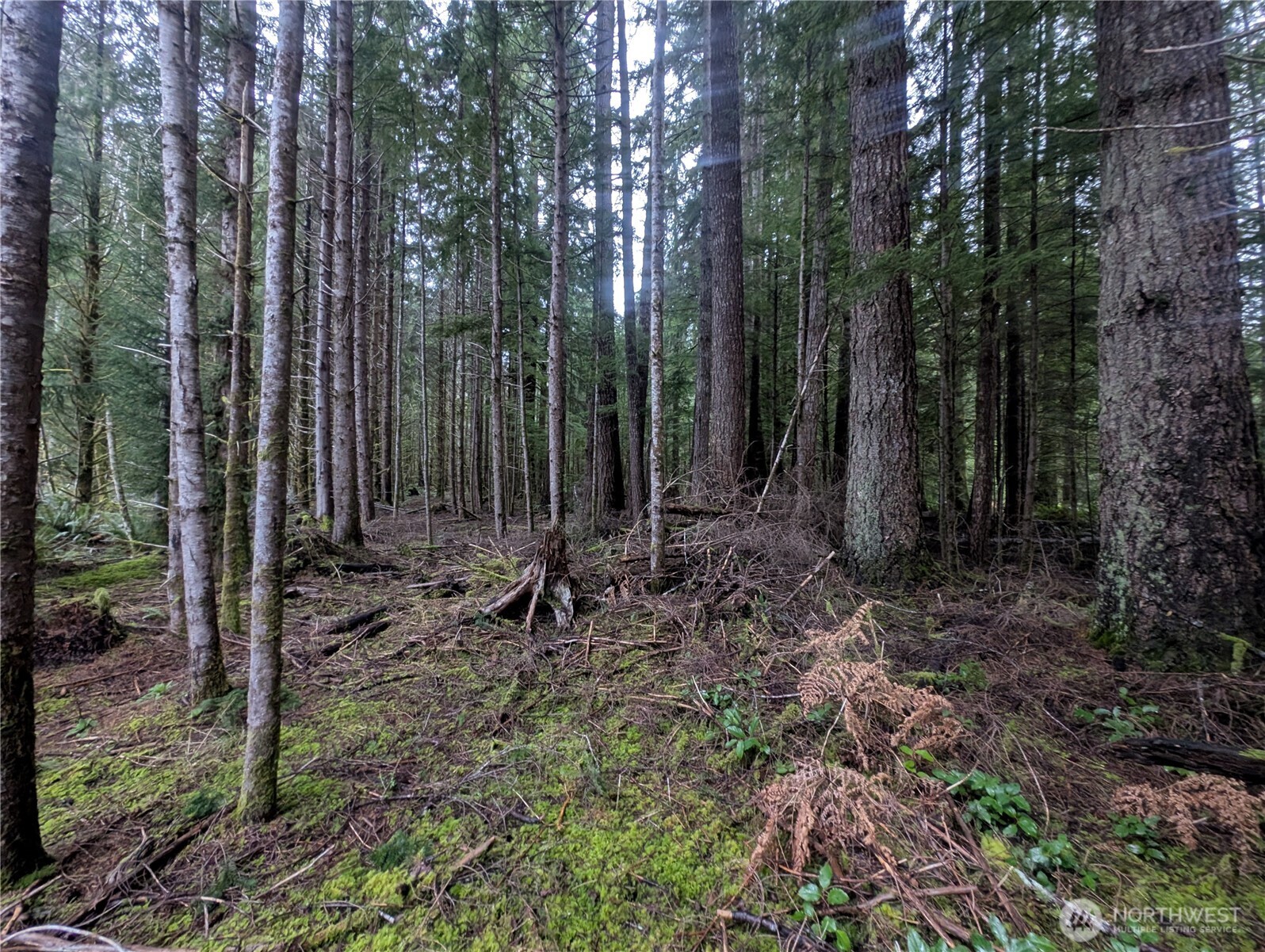 9991 Quillayute Road Forks, WA 98331 - Photo 37 of 40