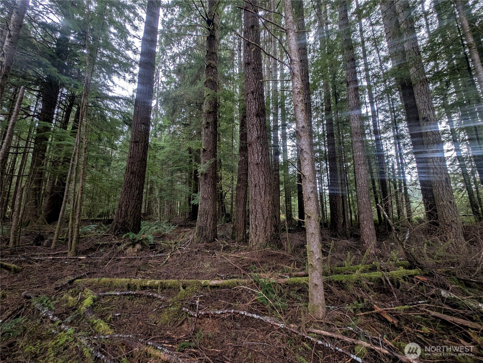 9991 Quillayute Road Forks, WA 98331 - Photo 38 of 40