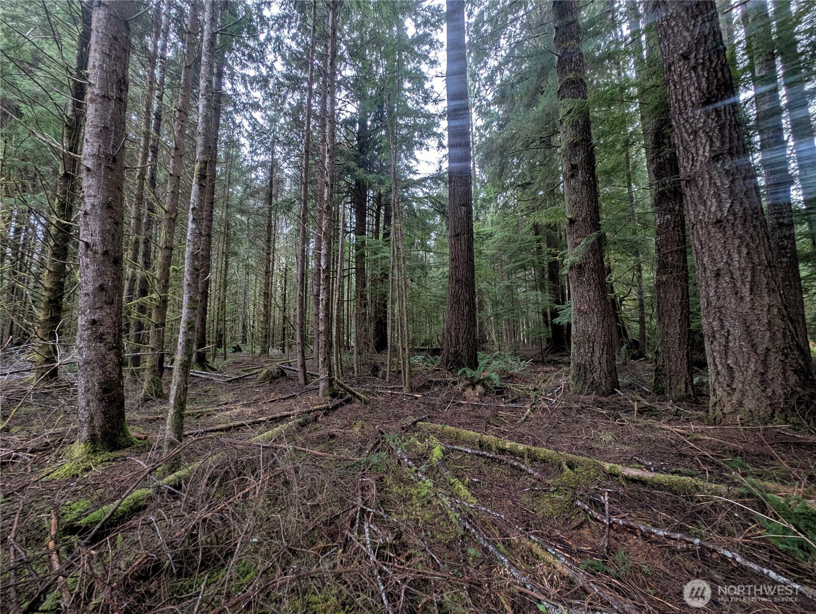 9991 Quillayute Road Forks, WA 98331 - Photo 39 of 40