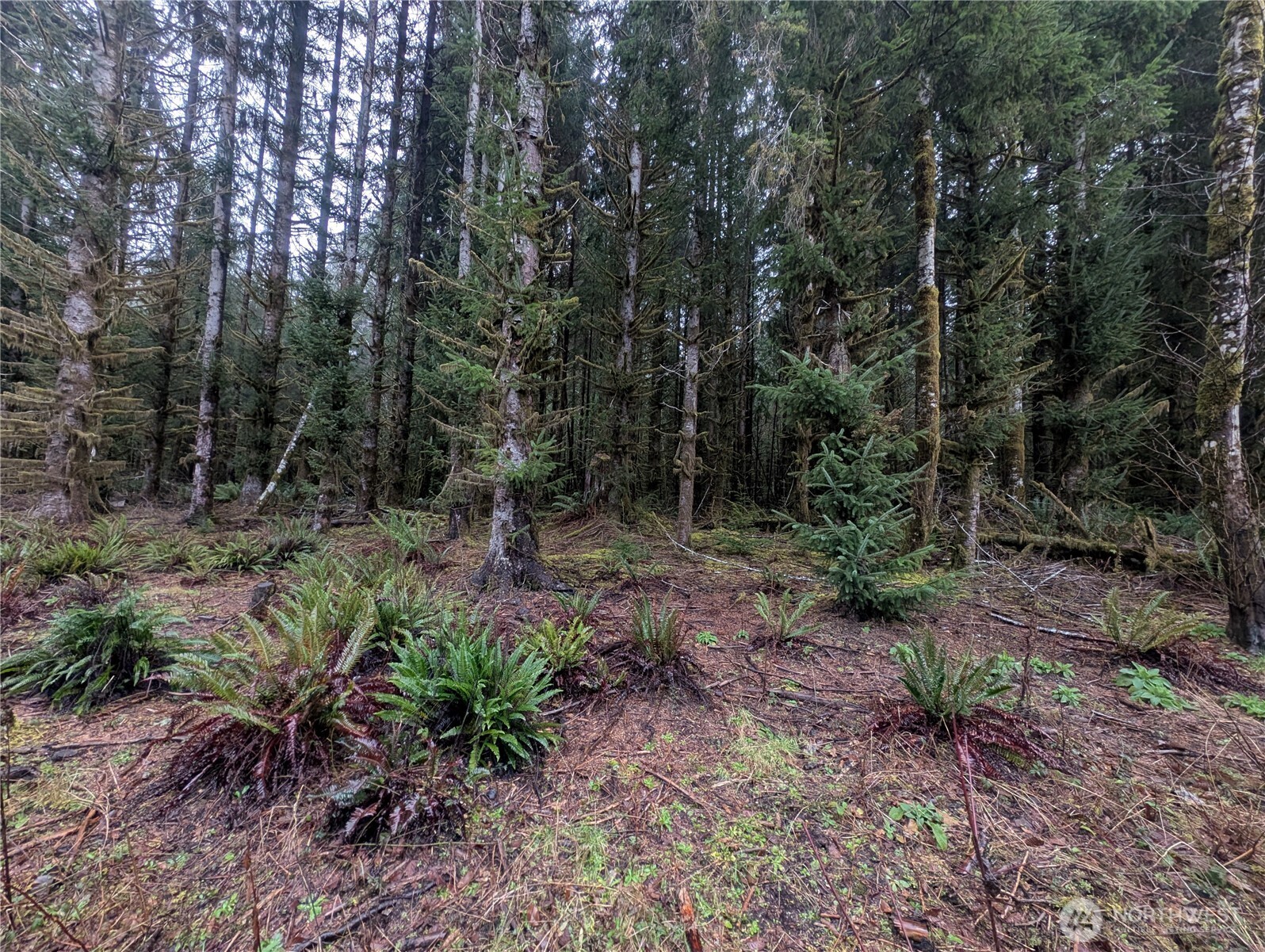 9991 Quillayute Road Forks, WA 98331 - Photo 40 of 40