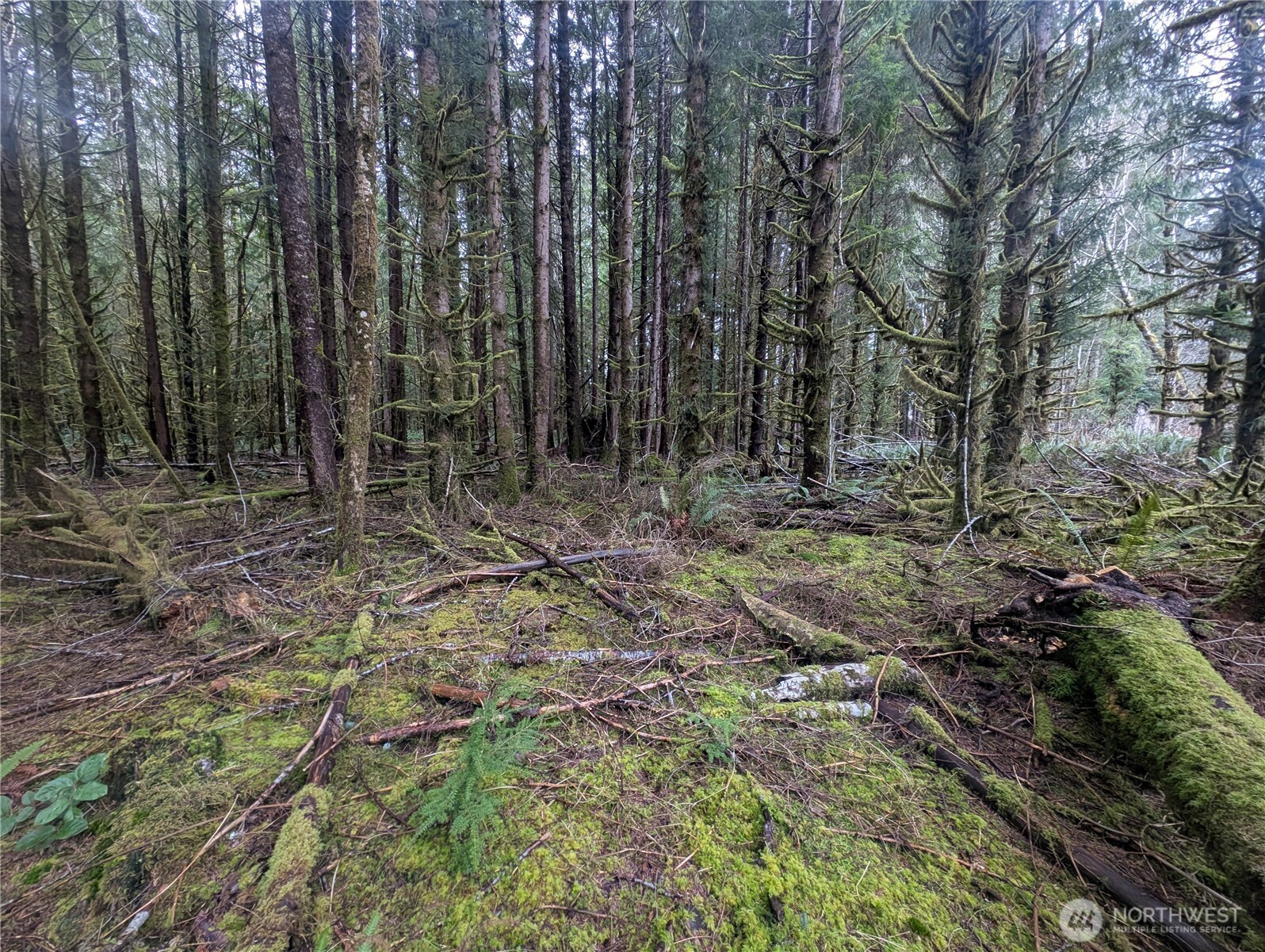 9991 Quillayute Road Forks, WA 98331 - Photo 6 of 40