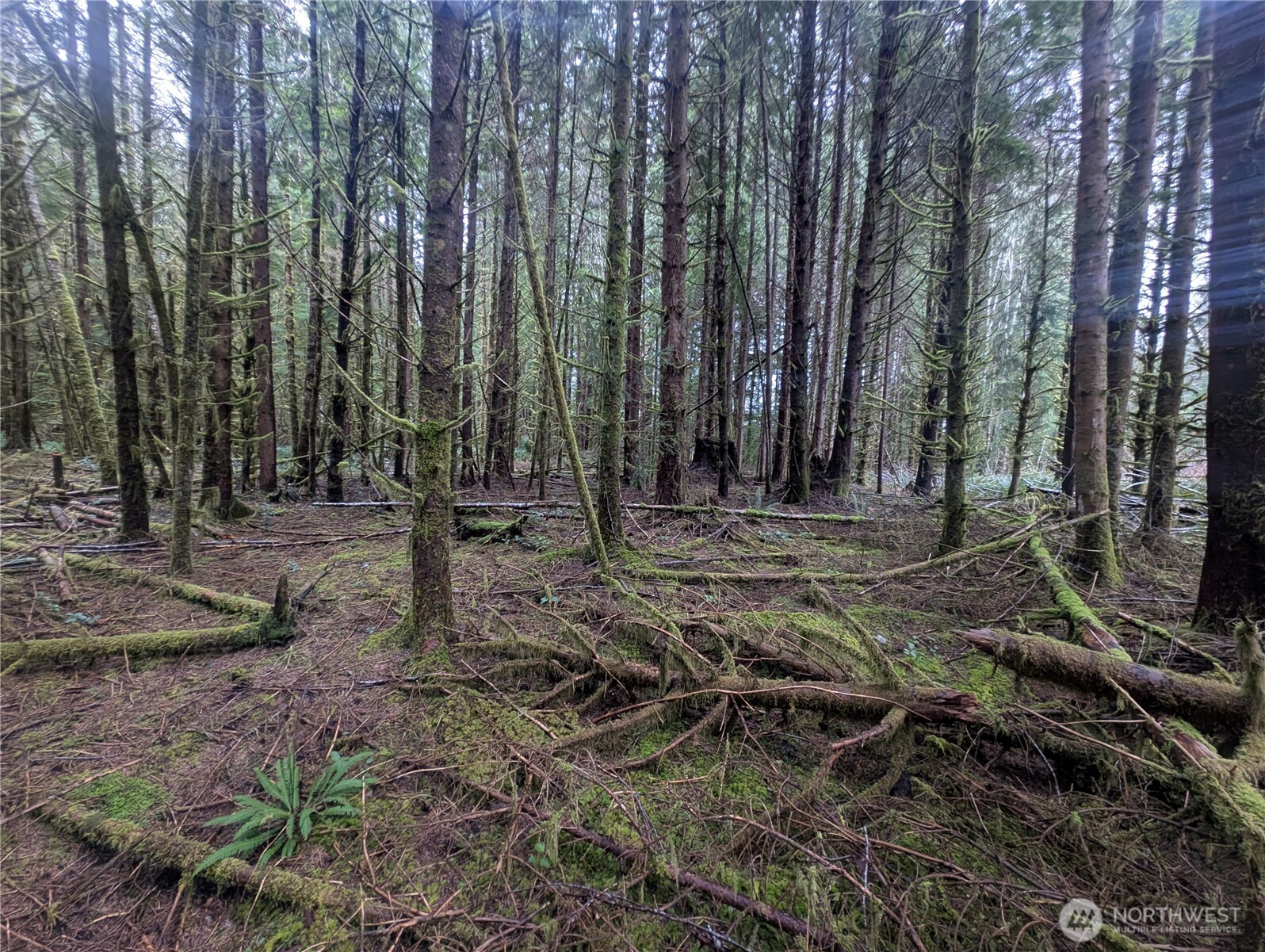 9991 Quillayute Road Forks, WA 98331 - Photo 7 of 40