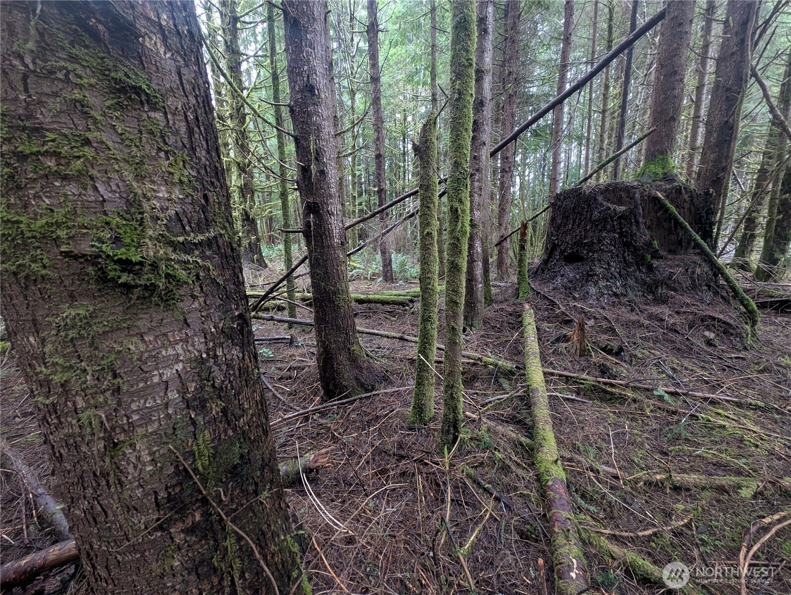 9991 Quillayute Road Forks, WA 98331 - Photo 8 of 40