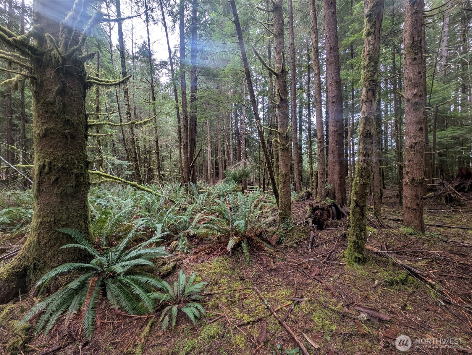 9991 Quillayute Road Forks, WA 98331 - Photo 9 of 40