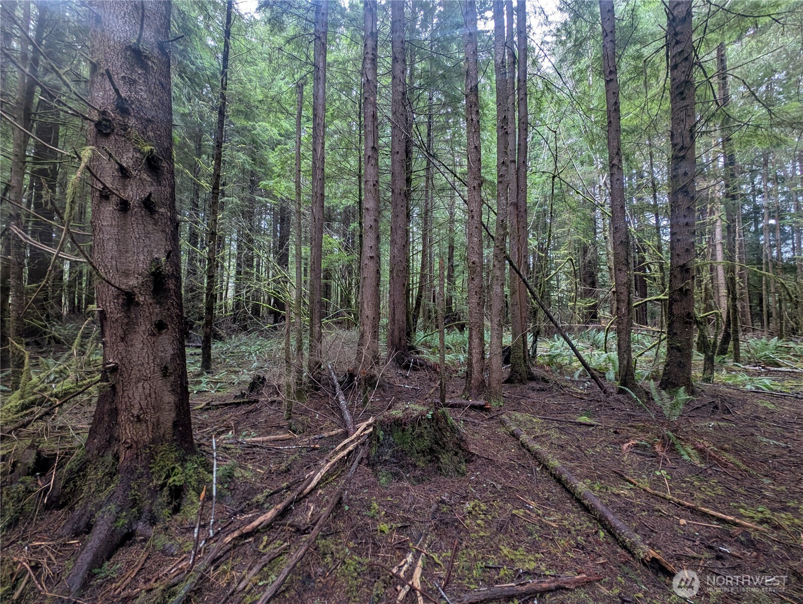 9991 Quillayute Road Forks, WA 98331 - Photo 10 of 40