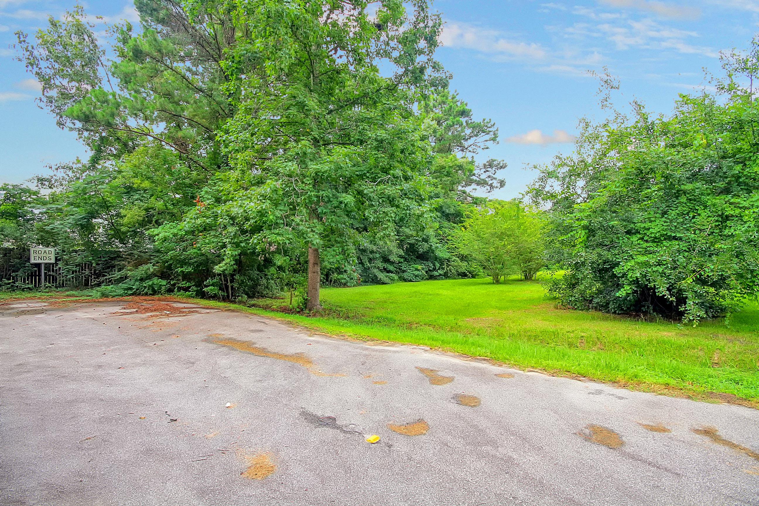0 Baldwin Road North Charleston, SC 29406 - Photo 5 of 5 CREM_8939 Baldwin Ext_001