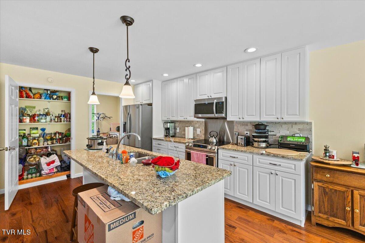 194 East Ridges Drive Chuckey, TN 37641 - Photo 15 of 42 Pantry