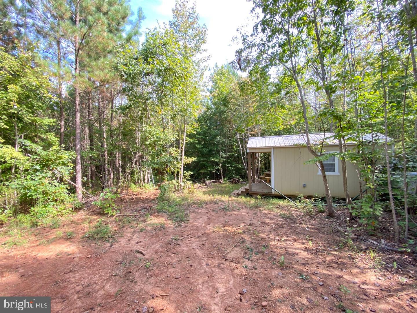 684 Squirrel Hollow Road Alberta, VA 23821 - Photo 9 of 43 Secluded retreat nestled in lush greenery.