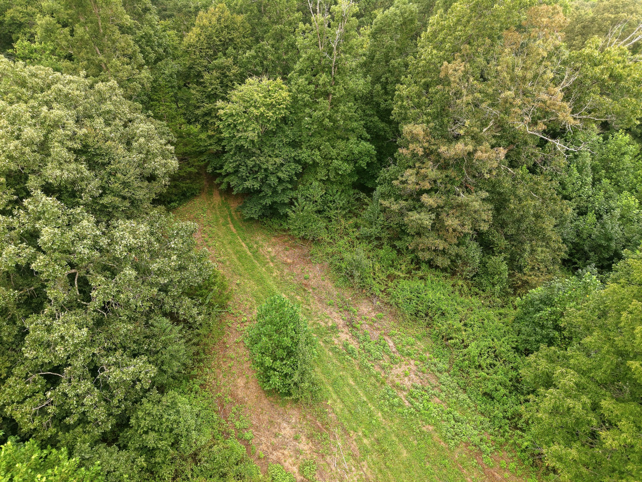 329 Old Standing Stone Road Livingston, TN 38570 - Photo 12 of 34 Gallery Image 12