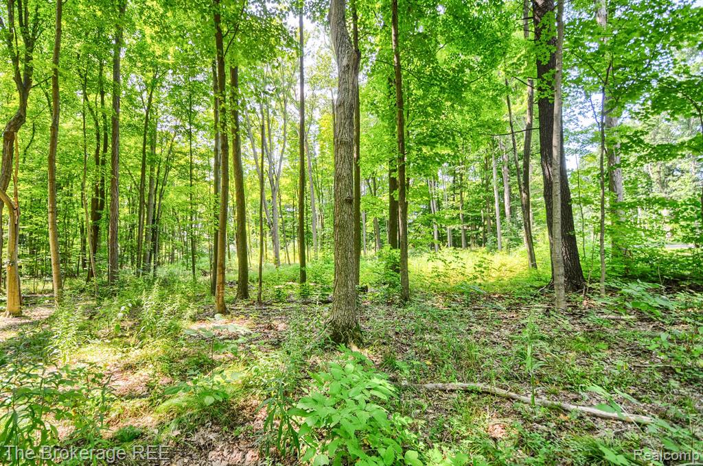 Vl Stump Road Lapeer, MI 48446 - Photo 3 of 12 Gallery Image 3