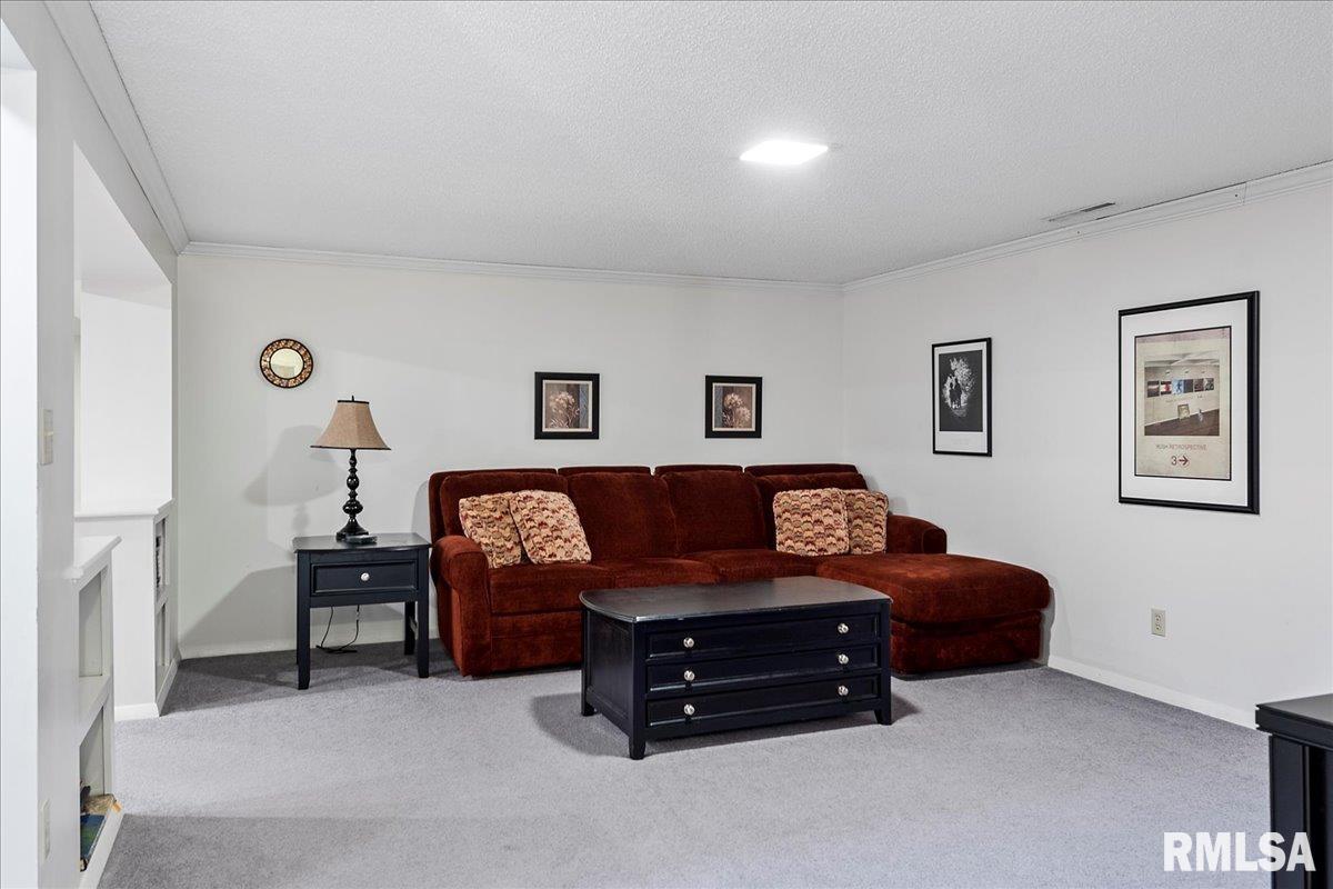 257 Stutely Lane Springfield, IL 62704 - Photo 27 of 47