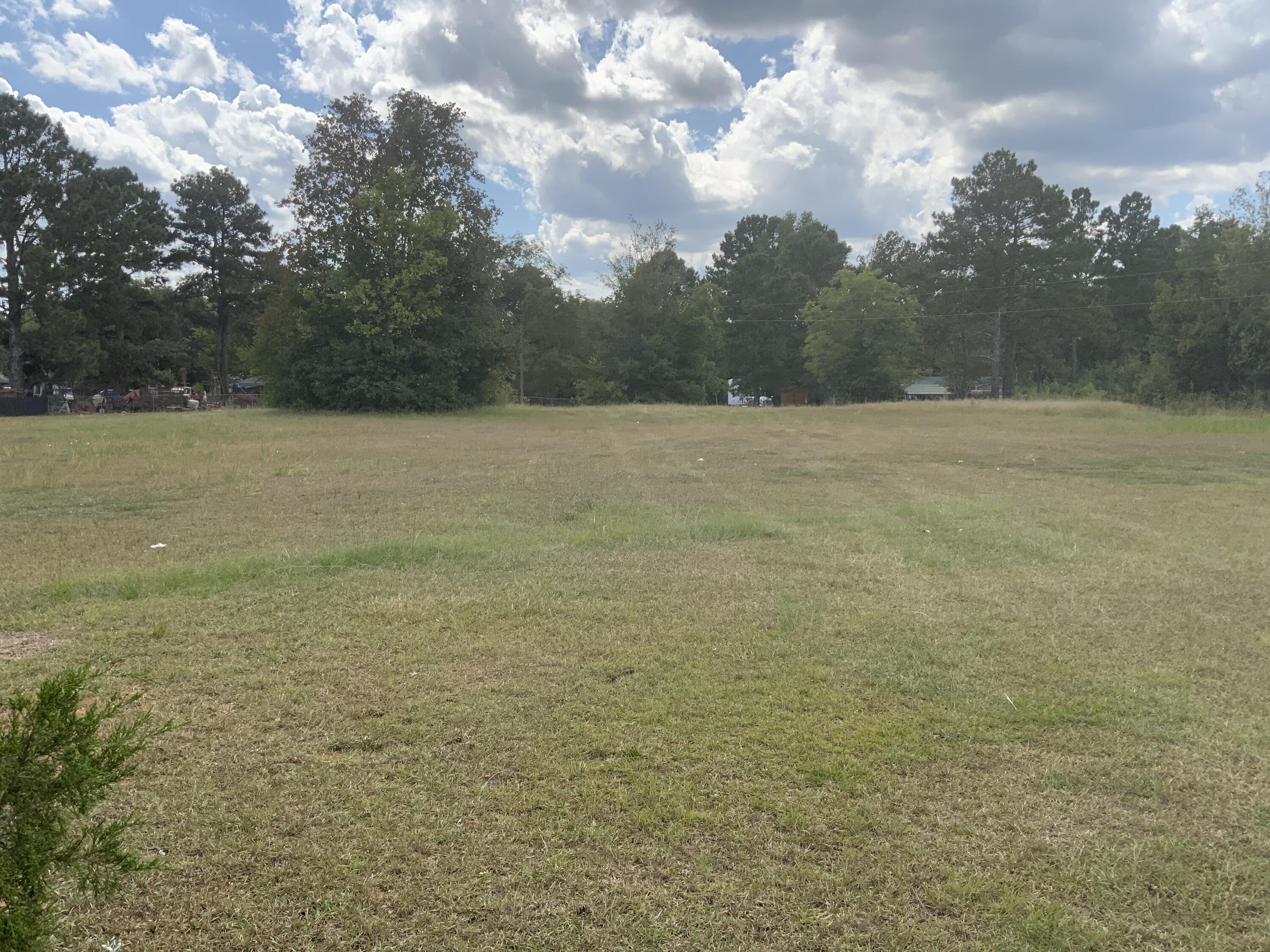 575 Shearer Road Bishopville, SC 29010 - Photo 24 of 25 Gallery Image 24
