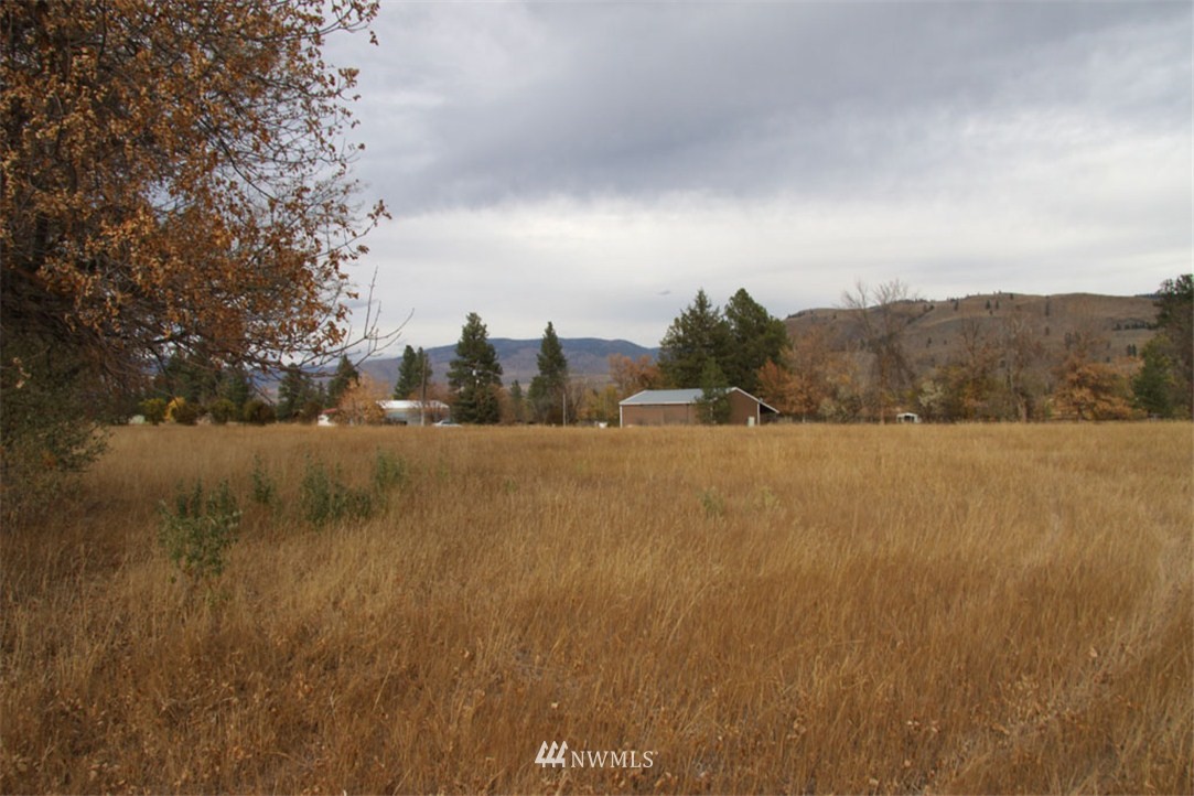 482 Twisp Carlton Road Twisp, WA 98856 - Photo 9 of 15 Gallery Image 9