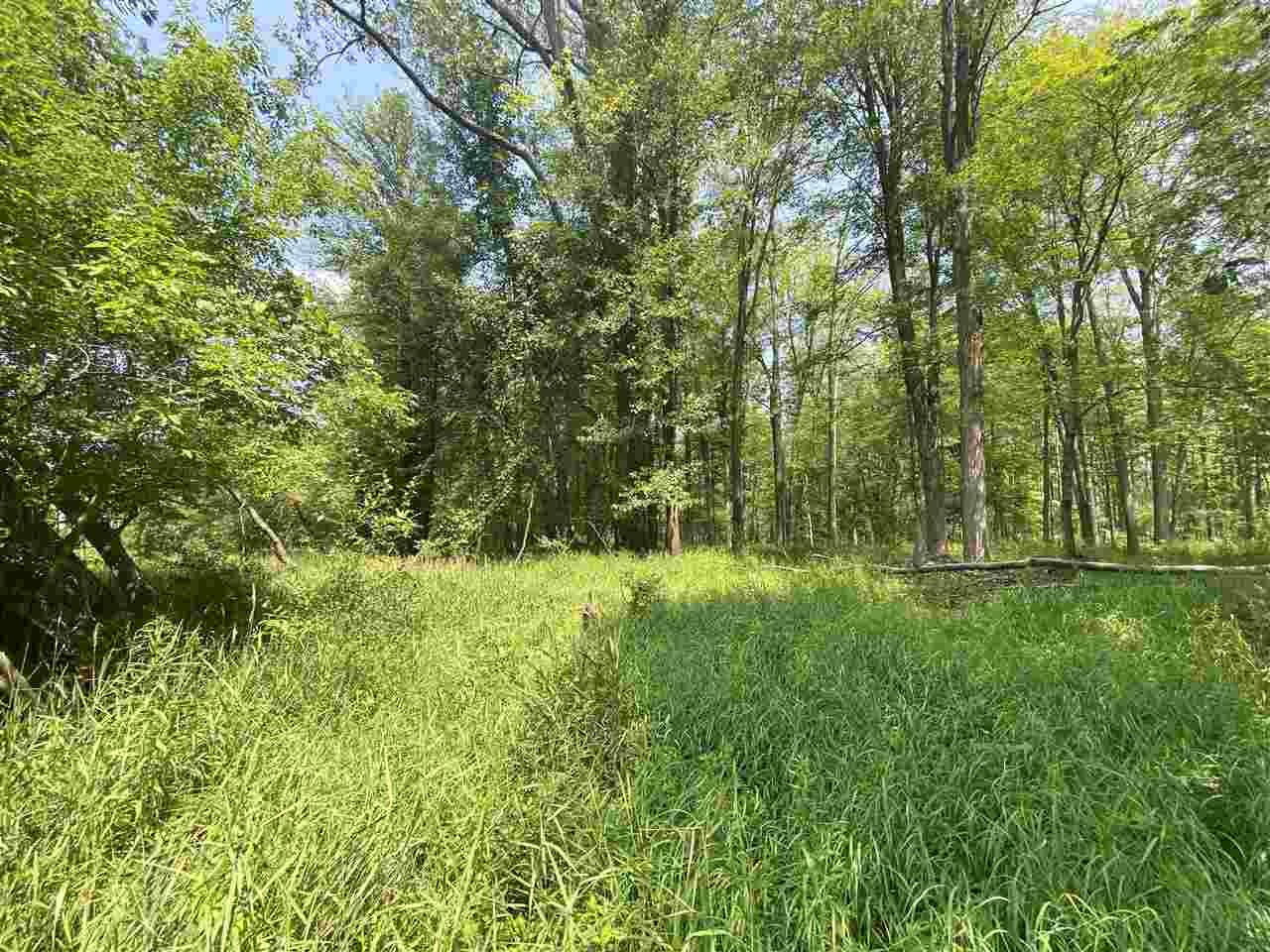 0 Briggs Road Omer, MI 48749 - Photo 38 of 45