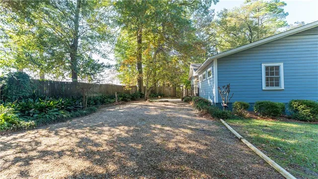 a view of a backyard with plants and large tree
