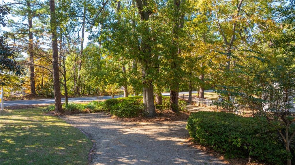 803 Forrest Avenue Tifton, GA 31794 - Photo 44 of 52 a view of a yard with plants and trees