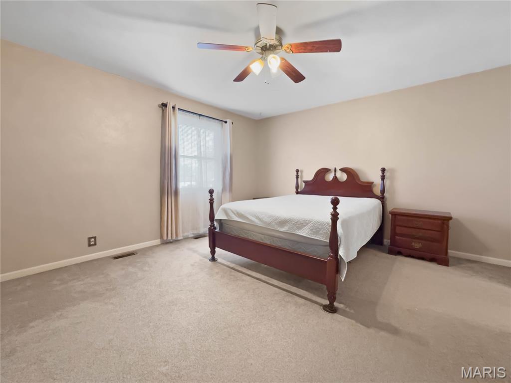 4412 Waterloo Road Waterloo, IL 62298 - Photo 28 of 60