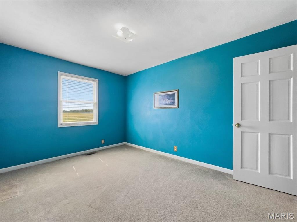 4412 Waterloo Road Waterloo, IL 62298 - Photo 36 of 60