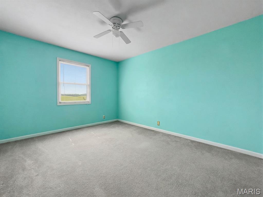 4412 Waterloo Road Waterloo, IL 62298 - Photo 37 of 60